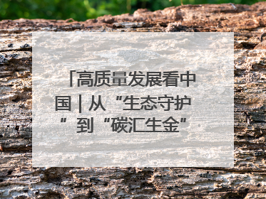 高质量发展看中国｜从“生态守护”到“碳汇生金”——中国石油大庆油田绿色蝶变