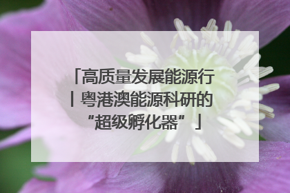 高质量发展能源行丨粤港澳能源科研的“超级孵化器”