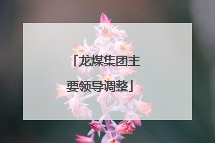 龙煤集团主要领导调整