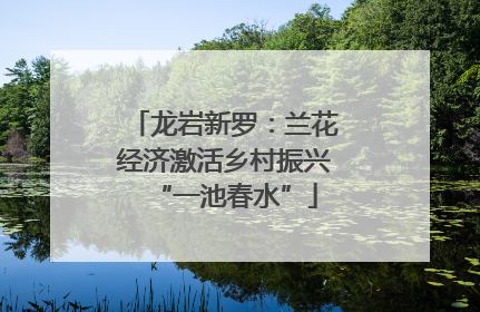 龙岩新罗：兰花经济激活乡村振兴“一池春水”