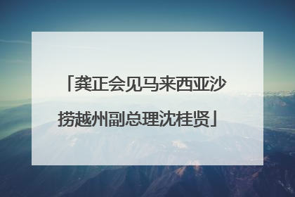 龚正会见马来西亚沙捞越州副总理沈桂贤