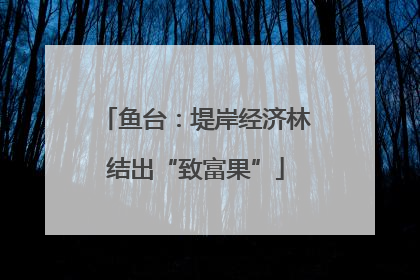 鱼台：堤岸经济林结出“致富果”