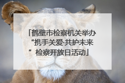 鹤壁市检察机关举办“携手关爱·共护未来”检察开放日活动