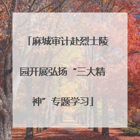麻城审计赴烈士陵园开展弘扬“三大精神”专题学习