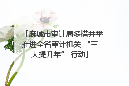 麻城市审计局多措并举推进全省审计机关 “三大提升年” 行动