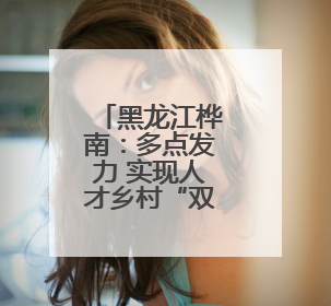 黑龙江桦南：多点发力 实现人才乡村“双向奔赴”