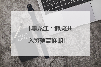 黑龙江：狮虎进入繁殖高峰期