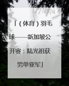 （体育）羽毛球——新加坡公开赛：陆光祖获男单亚军