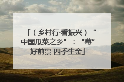 （乡村行·看振兴）“中国瓜菜之乡”：“莓”好前景 四季生金