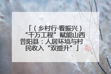 （乡村行·看振兴）“千万工程”赋能山西昔阳县：人居环境与村民收入“双提升”