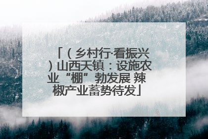 （乡村行·看振兴）山西天镇：设施农业“棚”勃发展 辣椒产业蓄势待发
