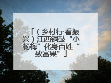 （乡村行·看振兴）江西铜鼓“小杨梅”化身百姓“致富果”