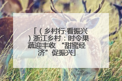 （乡村行·看振兴）浙江乡村：时令果蔬迎丰收 “甜蜜经济”促振兴
