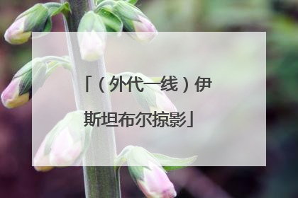 （外代一线）伊斯坦布尔掠影