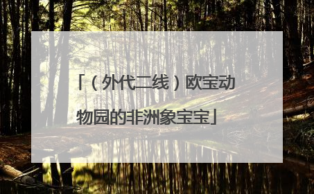 （外代二线）欧宝动物园的非洲象宝宝