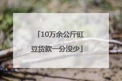 10万余公斤豇豆货款一分没少