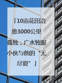 10亩花田治愈3000公里孤独，广水独眼小伙与他的“无尽夏”