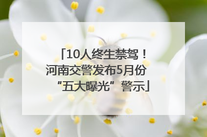 10人终生禁驾！河南交警发布5月份“五大曝光”警示