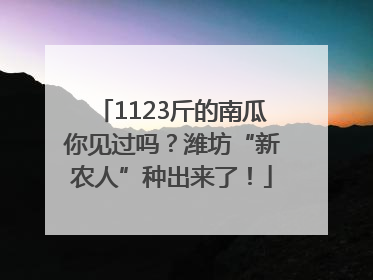 1123斤的南瓜你见过吗？潍坊“新农人”种出来了！