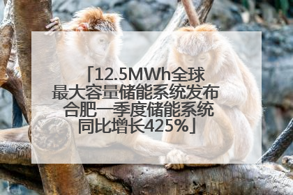 12.5MWh全球最大容量储能系统发布 合肥一季度储能系统同比增长425%