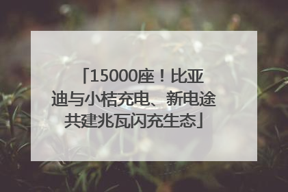 15000座！比亚迪与小桔充电、新电途共建兆瓦闪充生态