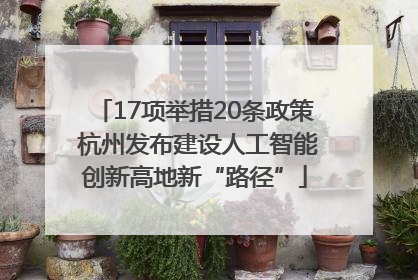 17项举措20条政策 杭州发布建设人工智能创新高地新“路径”