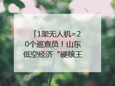 1架无人机=20个巡查员！山东低空经济“硬核王炸”亮相青岛，下一个万亿赛道藏在这里