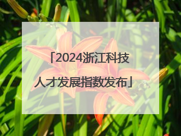 2024浙江科技人才发展指数发布