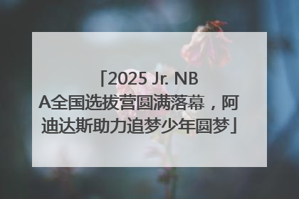 2025 Jr. NBA全国选拔营圆满落幕，阿迪达斯助力追梦少年圆梦