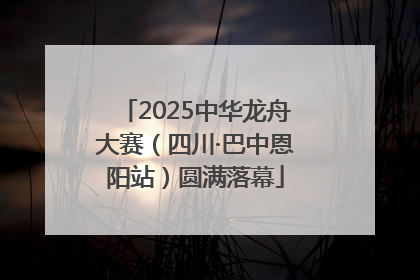 2025中华龙舟大赛（四川·巴中恩阳站）圆满落幕