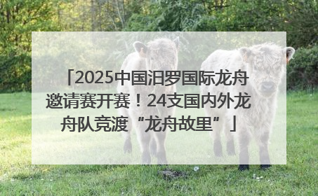2025中国汨罗国际龙舟邀请赛开赛！24支国内外龙舟队竞渡“龙舟故里”