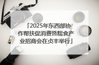 2025年东西部协作帮扶促消费暨糯食产业招商会在贞丰举行