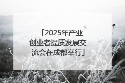 2025年产业创业者提质发展交流会在成都举行