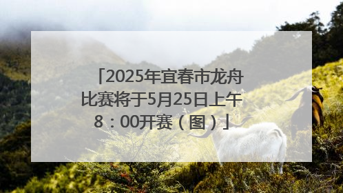 2025年宜春市龙舟比赛将于5月25日上午8：00开赛（图）