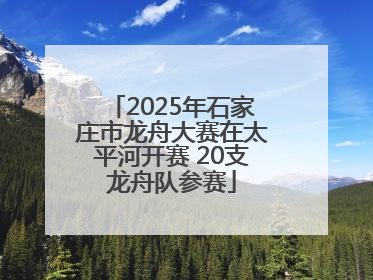 2025年石家庄市龙舟大赛在太平河开赛 20支龙舟队参赛