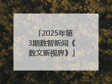 2025年第3期数智新闻《数文新视界》
