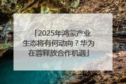 2025年鸿蒙产业生态将有何动向？华为在蓉释放合作机遇