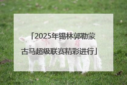 2025年锡林郭勒蒙古马超级联赛精彩进行