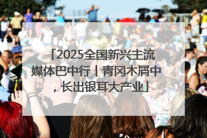 2025全国新兴主流媒体巴中行丨青冈木屑中，长出银耳大产业