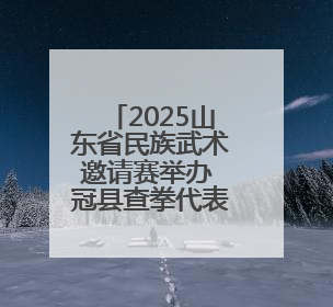 2025山东省民族武术邀请赛举办 冠县查拳代表团勇夺三金二银一铜