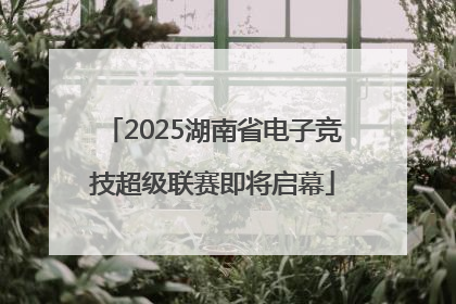 2025湖南省电子竞技超级联赛即将启幕