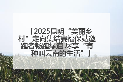 2025昆明“美丽乡村”定向集结赛福保站邀跑者畅跑绿道 尽享“有一种叫云南的生活”