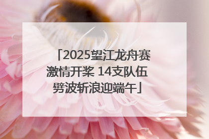 2025望江龙舟赛激情开桨 14支队伍劈波斩浪迎端午