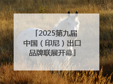 2025第九届中国（印尼）出口品牌联展开幕