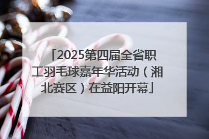 2025第四届全省职工羽毛球嘉年华活动（湘北赛区）在益阳开幕