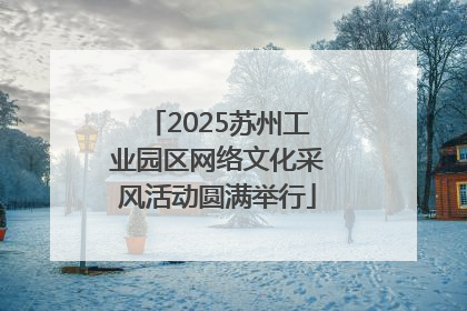 2025苏州工业园区网络文化采风活动圆满举行