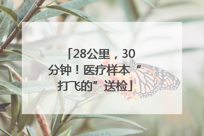 28公里，30分钟！医疗样本“打飞的”送检
