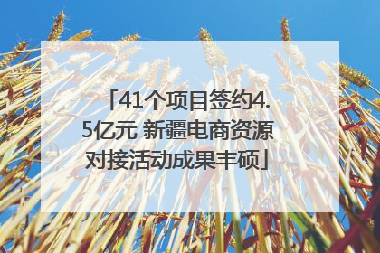41个项目签约4.5亿元 新疆电商资源对接活动成果丰硕