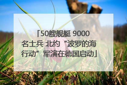 50艘舰艇 9000名士兵 北约“波罗的海行动”军演在德国启动