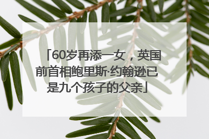 60岁再添一女，英国前首相鲍里斯·约翰逊已是九个孩子的父亲